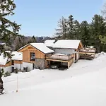 The Cosy Bear *