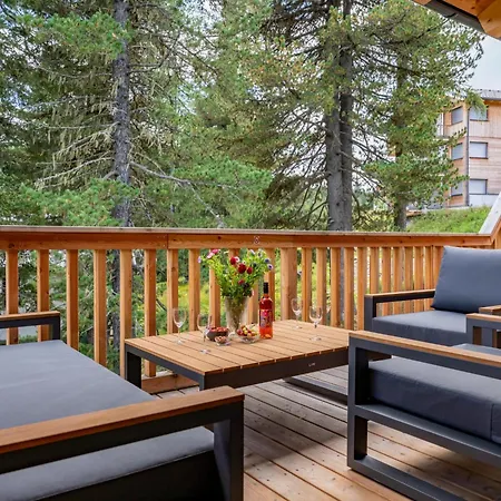 The Cosy Bear 펜션