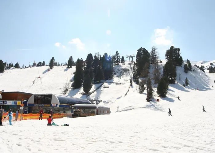 The Cosy Bear Turracher Hohe