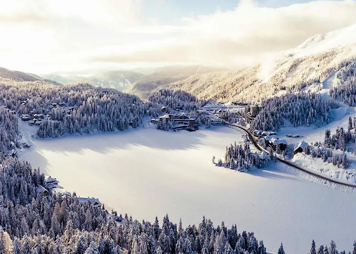 Tatil Evi The Cosy Bear